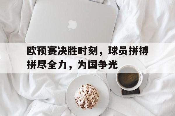 欧预赛决胜时刻，球员拼搏拼尽全力，为国争光的简单介绍